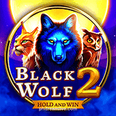 Blackwolf2 Game Image