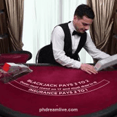 Blackjack VIP 22 Game Card